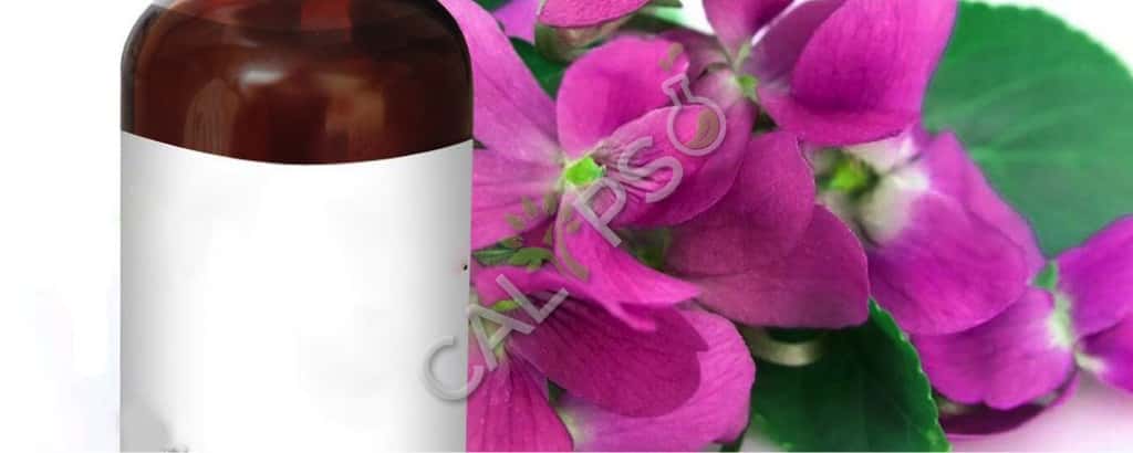 Geraniumblad Absolute olievoordelen